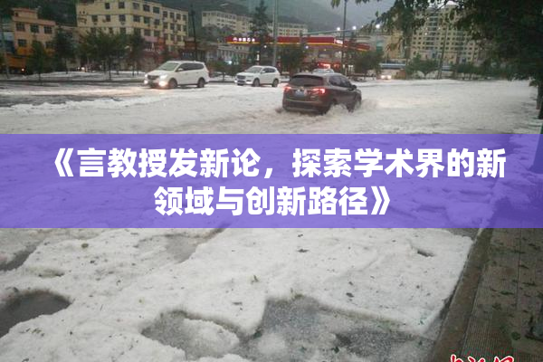 《言教授发新论，探索学术界的新领域与创新路径》