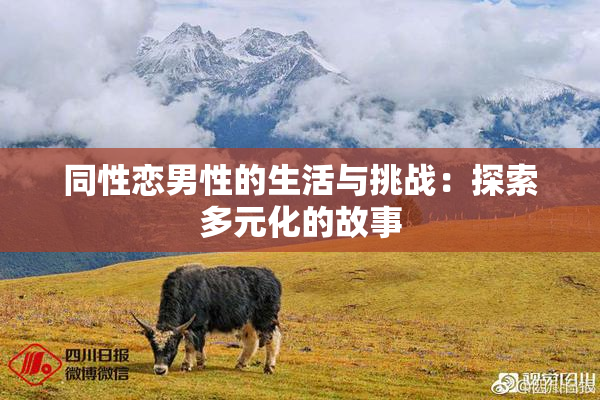 同性恋男性的生活与挑战：探索多元化的故事