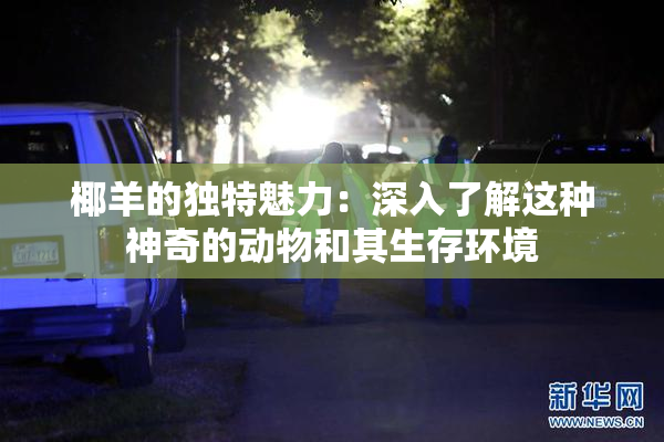 椰羊的独特魅力：深入了解这种神奇的动物和其生存环境