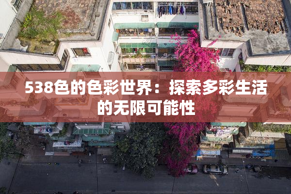 538色的色彩世界：探索多彩生活的无限可能性