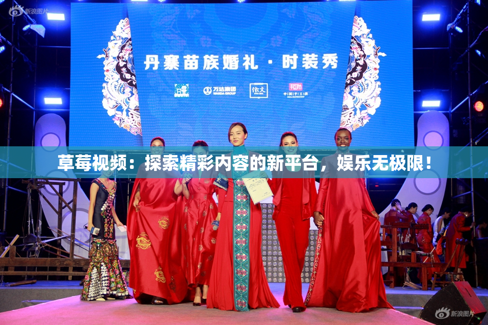 草莓视频：探索精彩内容的新平台，娱乐无极限！