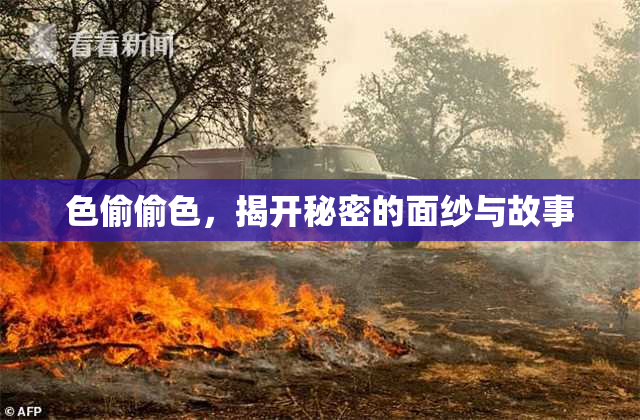 色偷偷色，揭开秘密的面纱与故事