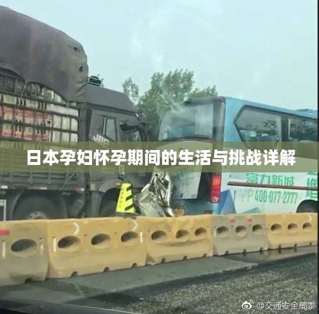 日本孕妇怀孕期间的生活与挑战详解