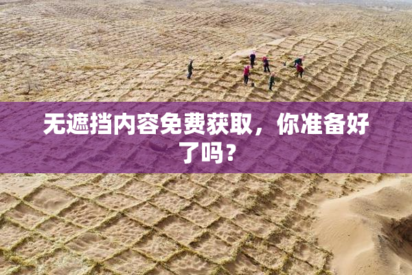 无遮挡内容免费获取，你准备好了吗？
