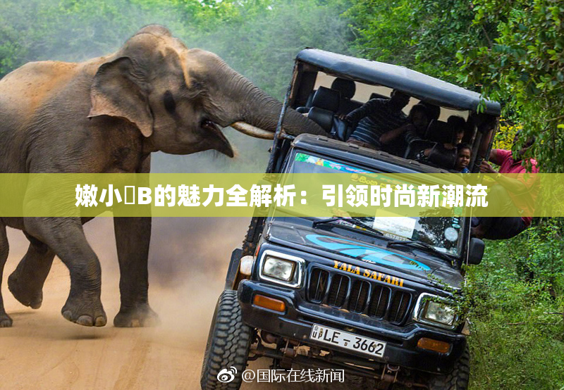 嫩小槡B的魅力全解析：引领时尚新潮流