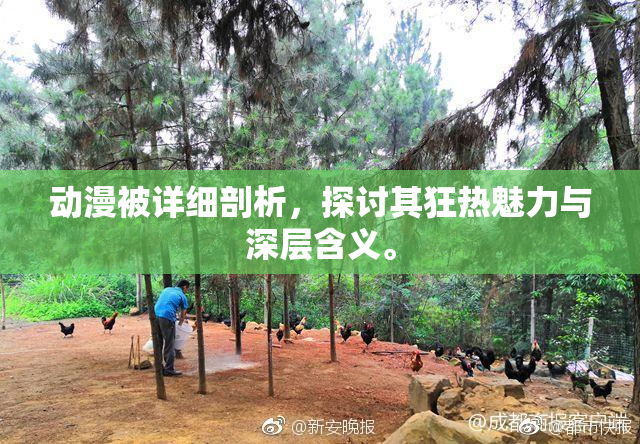 动漫被详细剖析，探讨其狂热魅力与深层含义。