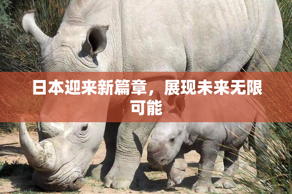 日本迎来新篇章，展现未来无限可能