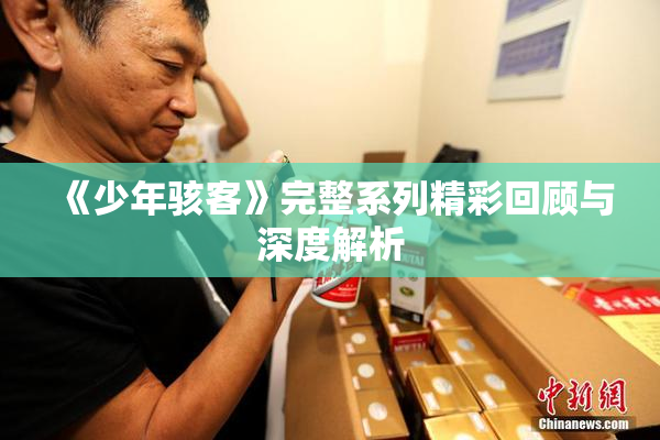 《少年骇客》完整系列精彩回顾与深度解析