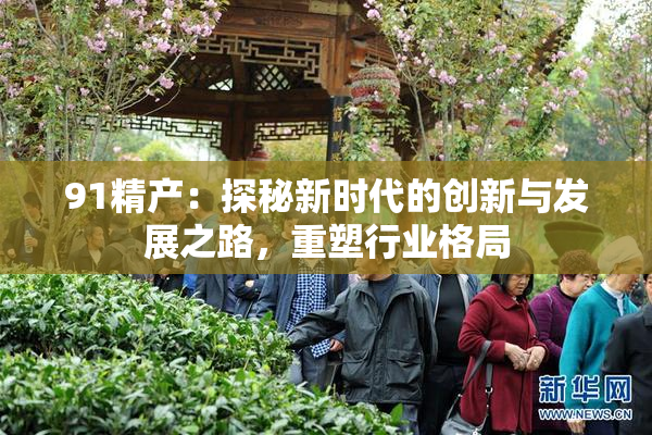 91精产：探秘新时代的创新与发展之路，重塑行业格局