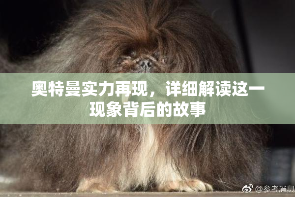 奥特曼实力再现，详细解读这一现象背后的故事
