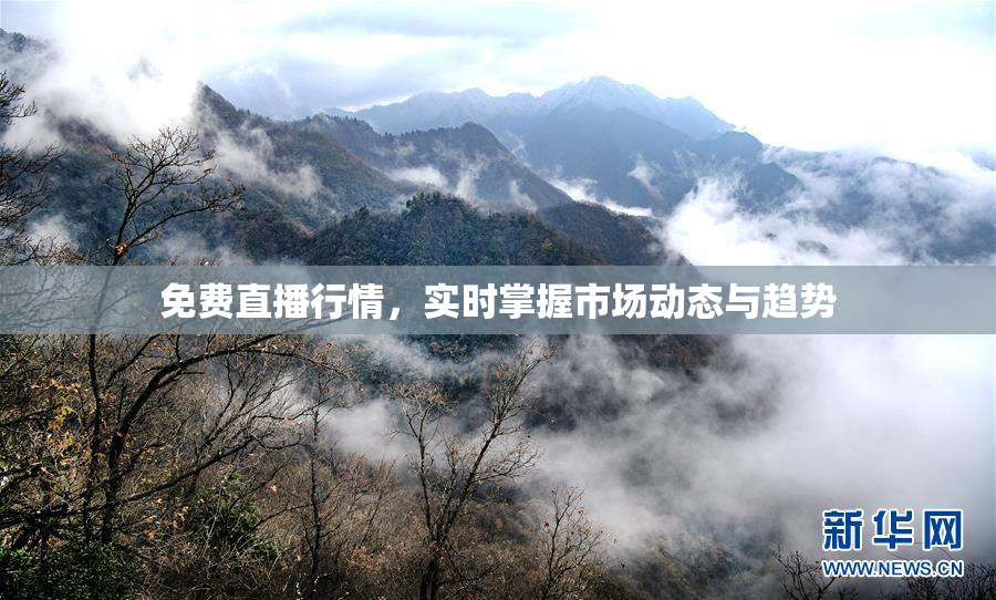 免费直播行情，实时掌握市场动态与趋势