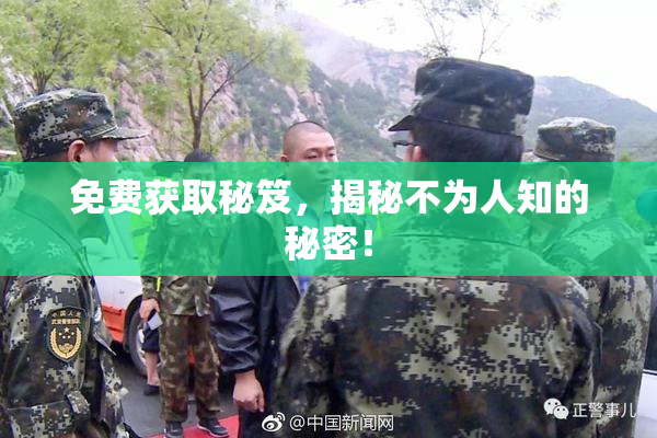 免费获取秘笈，揭秘不为人知的秘密！