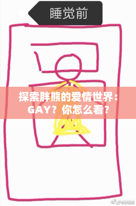 探索胖熊的爱情世界：GAY？你怎么看？