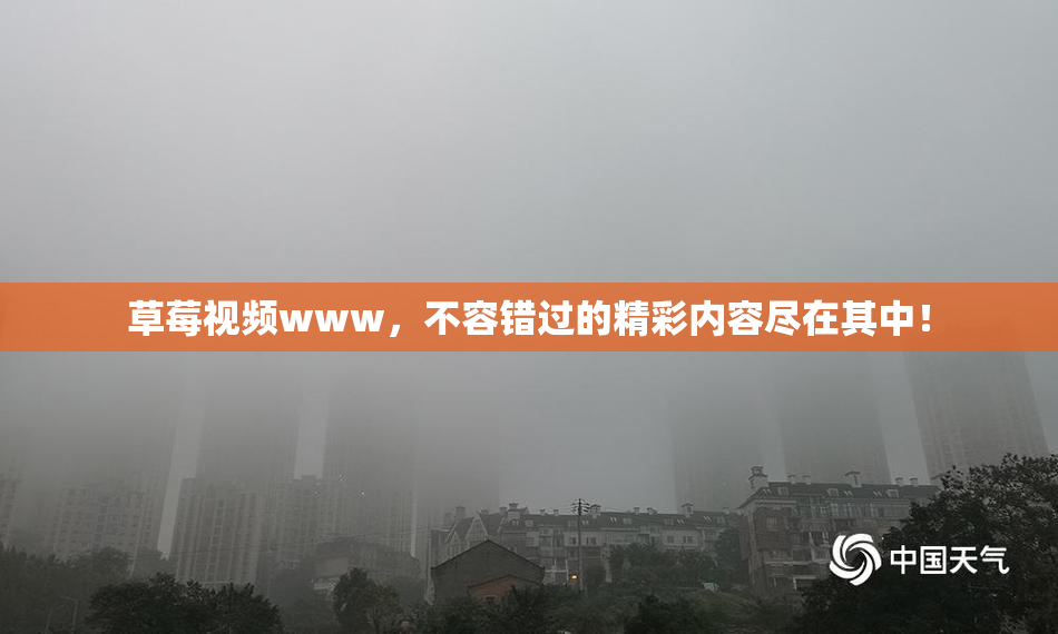 草莓视频www，不容错过的精彩内容尽在其中！