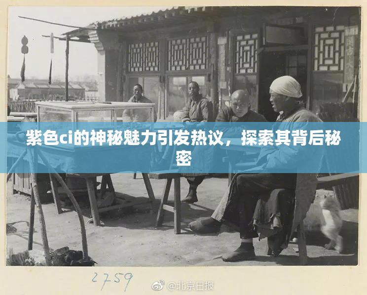 紫色ci的神秘魅力引发热议，探索其背后秘密