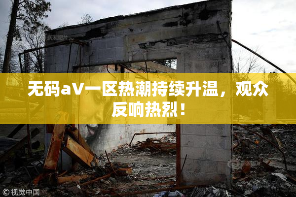 无码aV一区热潮持续升温，观众反响热烈！