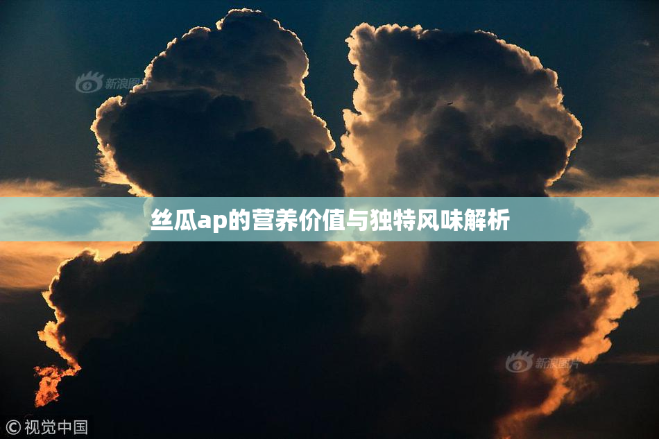 丝瓜ap的营养价值与独特风味解析