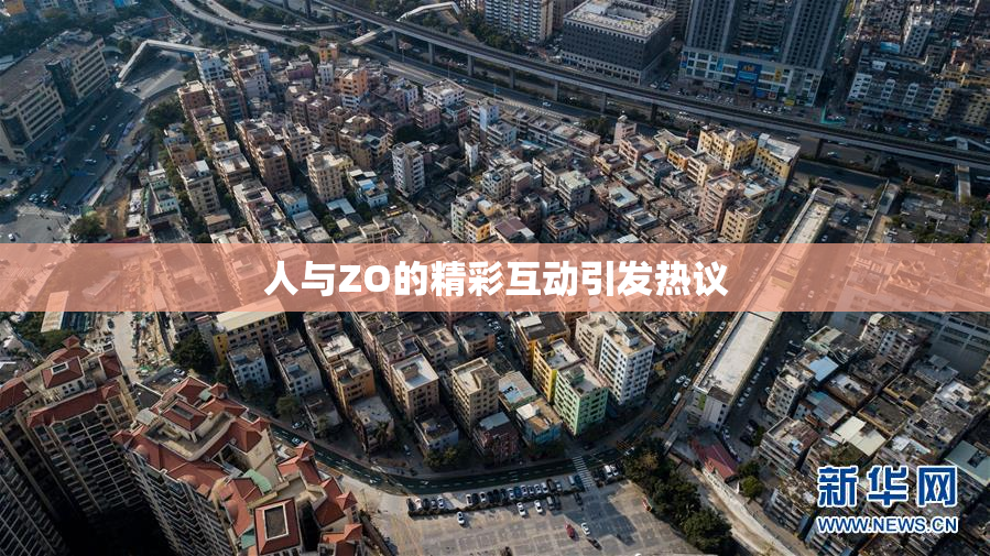 人与ZO的精彩互动引发热议