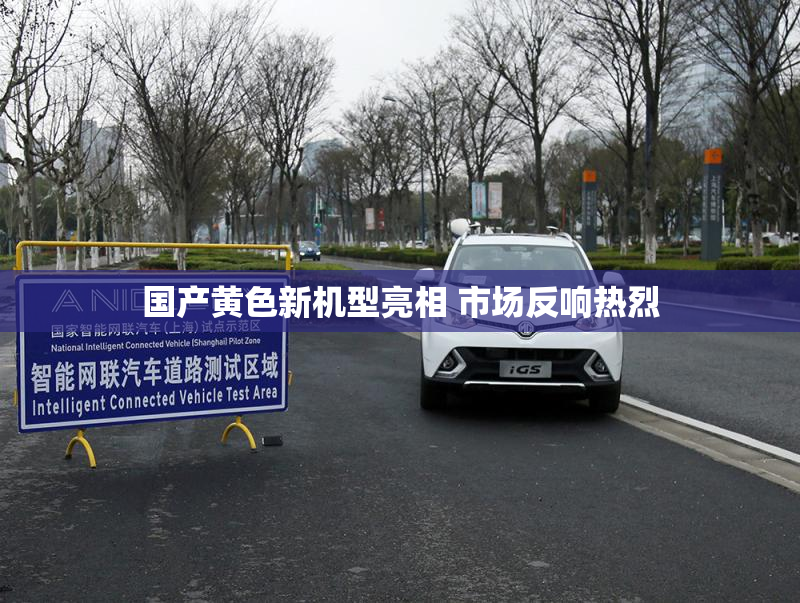 国产黄色新机型亮相 市场反响热烈