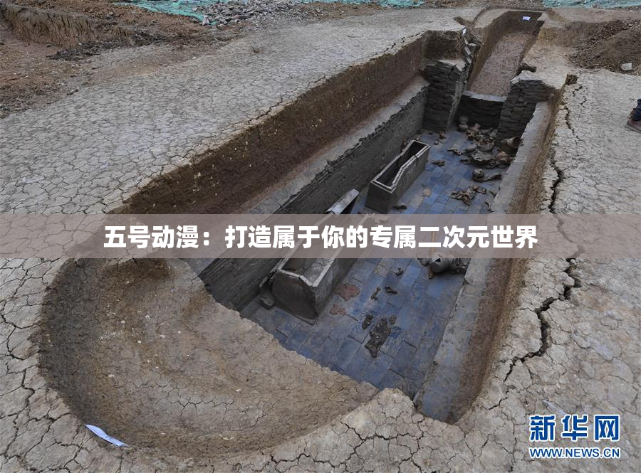 五号动漫：打造属于你的专属二次元世界