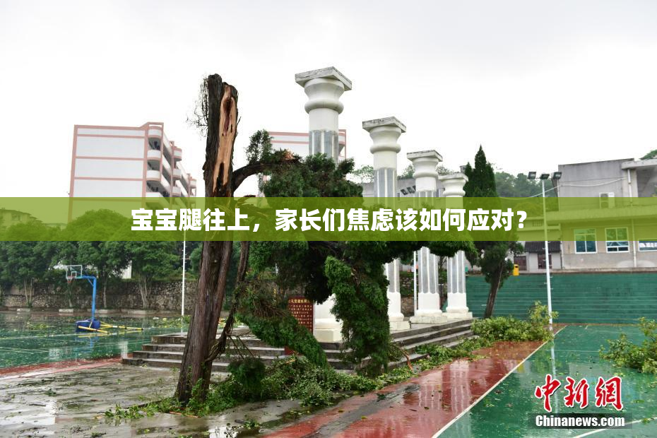 宝宝腿往上，家长们焦虑该如何应对？