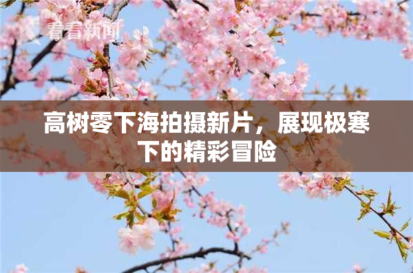 高树零下海拍摄新片，展现极寒下的精彩冒险