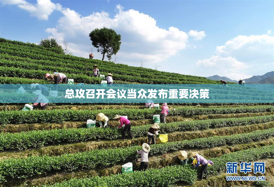 总攻召开会议当众发布重要决策