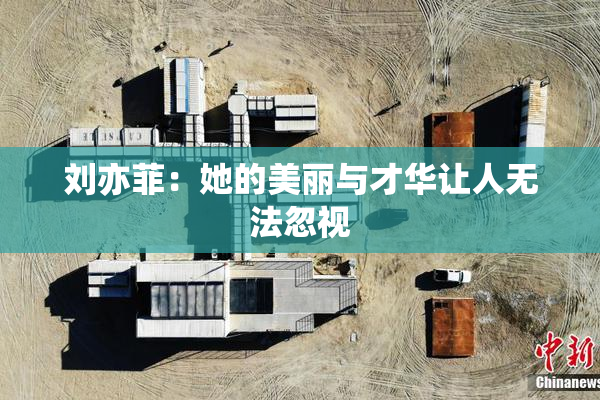 刘亦菲：她的美丽与才华让人无法忽视