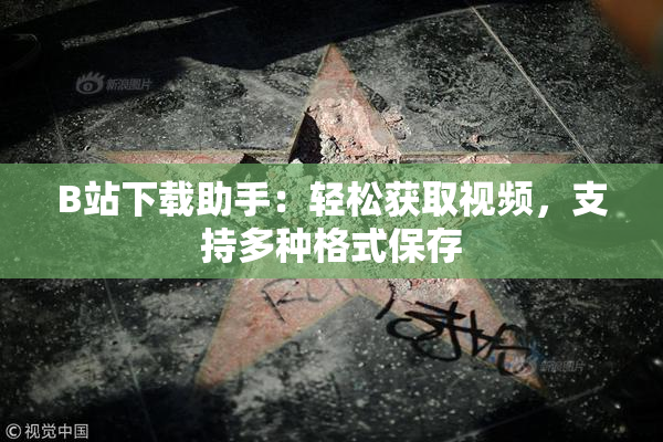 B站下载助手：轻松获取视频，支持多种格式保存