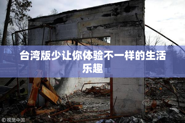 台湾版少让你体验不一样的生活乐趣