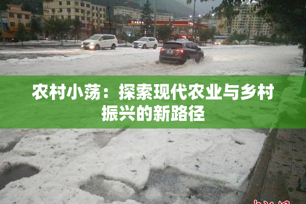 农村小荡：探索现代农业与乡村振兴的新路径
