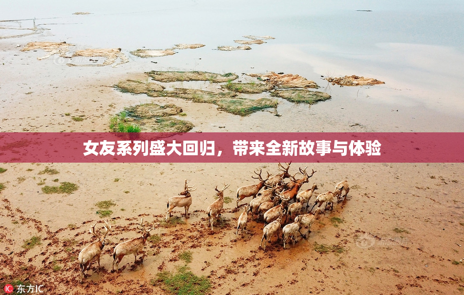 女友系列盛大回归，带来全新故事与体验