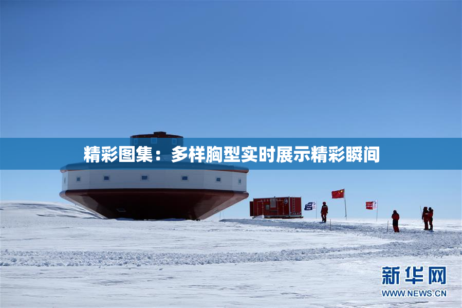 精彩图集：多样胸型实时展示精彩瞬间