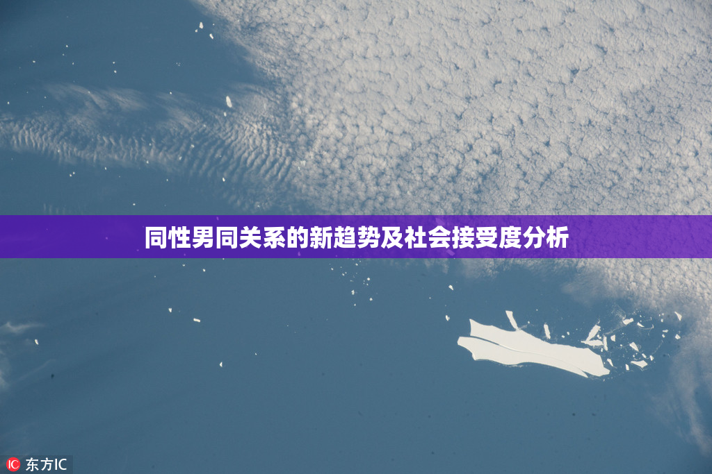 同性男同关系的新趋势及社会接受度分析