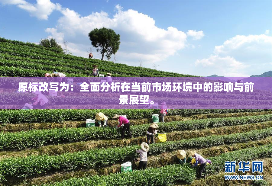 原标改写为：全面分析在当前市场环境中的影响与前景展望。