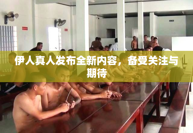 伊人真人发布全新内容，备受关注与期待