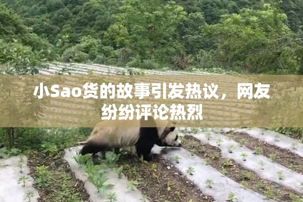 小Sao货的故事引发热议，网友纷纷评论热烈