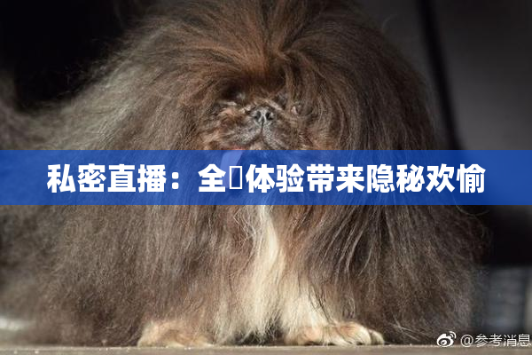 私密直播：全婐体验带来隐秘欢愉