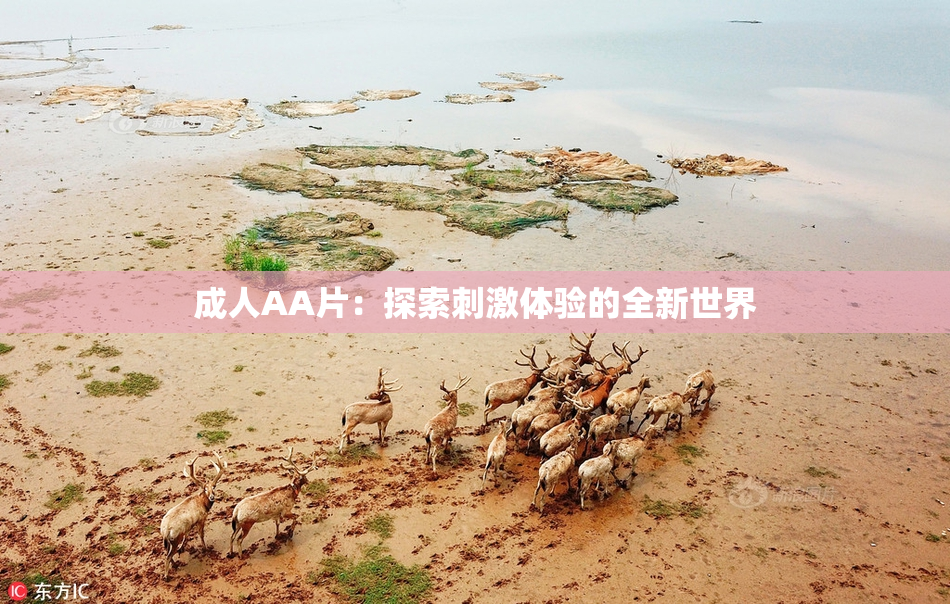成人AA片：探索刺激体验的全新世界