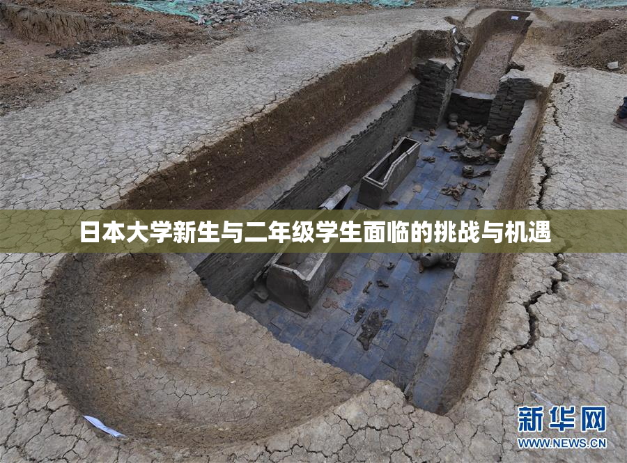 日本大学新生与二年级学生面临的挑战与机遇