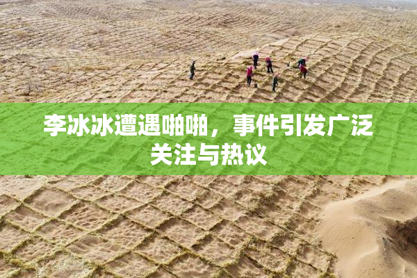 李冰冰遭遇啪啪，事件引发广泛关注与热议