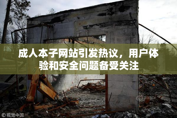 成人本子网站引发热议，用户体验和安全问题备受关注