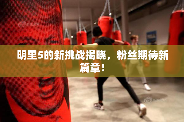 明里5的新挑战揭晓，粉丝期待新篇章！