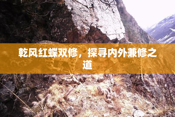 乾风红蝶双修，探寻内外兼修之道