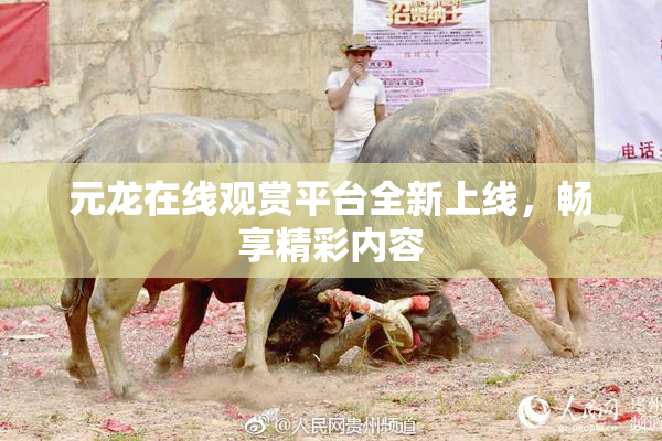 元龙在线观赏平台全新上线，畅享精彩内容