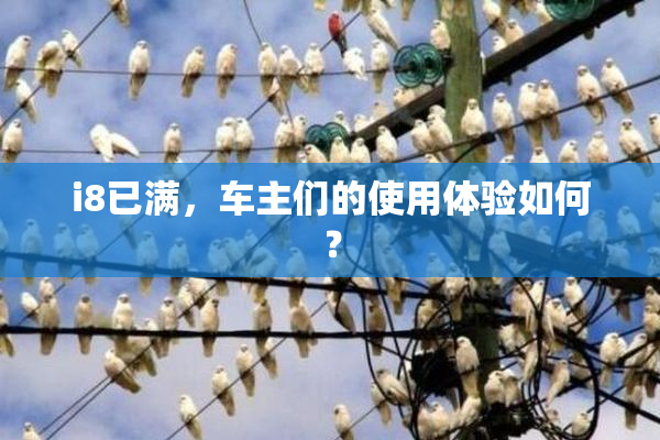 i8已满，车主们的使用体验如何？
