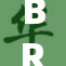 BRZZ引发热议，最新动态令人期待！