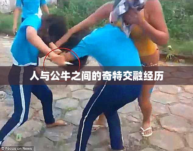 人与公牛之间的奇特交融经历