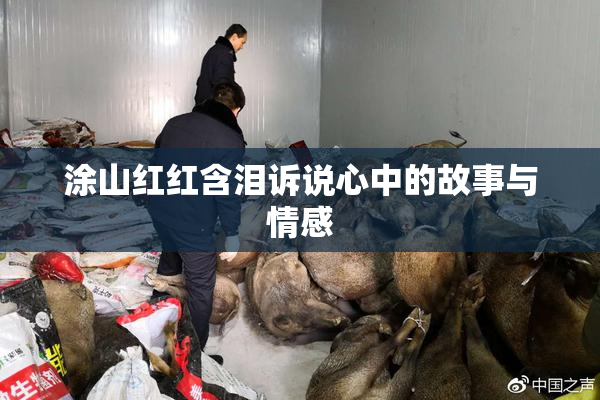 涂山红红含泪诉说心中的故事与情感