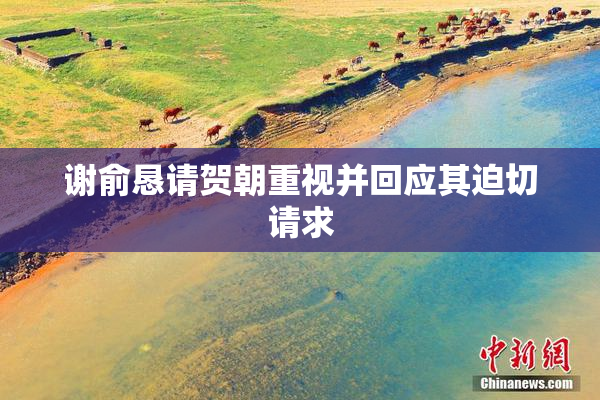 谢俞恳请贺朝重视并回应其迫切请求